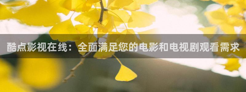 高清不卡二卡三卡四卡无卡：酷点影视在线：全面满足您的电影和电视剧观看需求