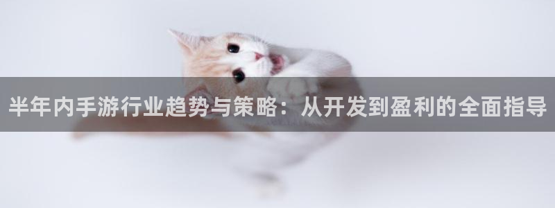豪门国际软件：半年内手游行业趋势与策略：从开发到盈利的全面指