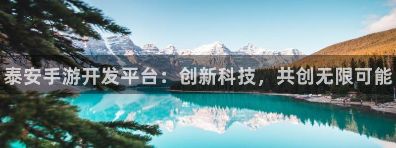 28加拿大大神下载：泰安手游开发平台：创新科技，共创无限可能