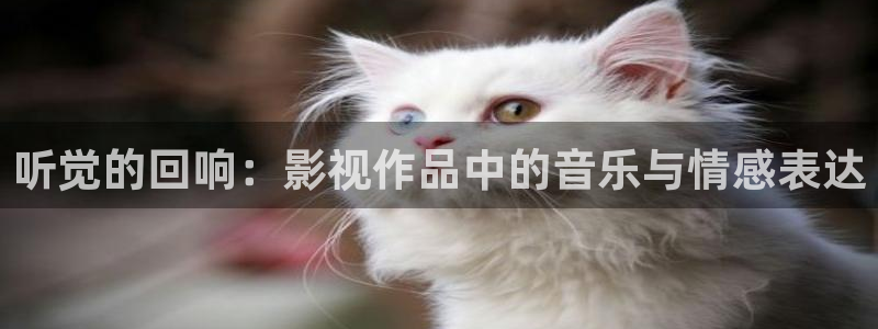 91高清在线不卡：听觉的回响：影视作品中的音乐与情感表达