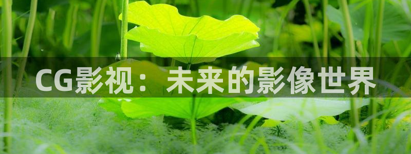 手机看片真不卡影院：CG影视：未来的影像世界