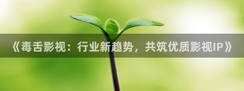 神马影院我不卡tv：《毒舌影视：行业新趋势，共筑优质影视IP》