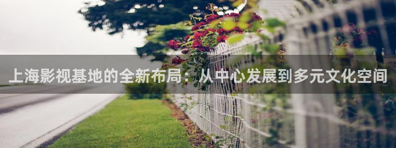 国产三级高清不卡：上海影视基地的全新布局：从中心发展到多元文化空间