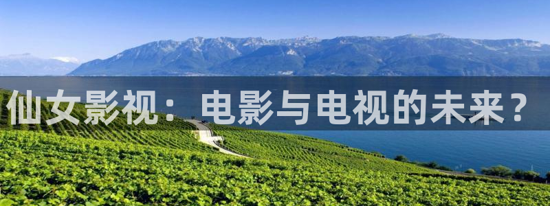 神马影院午夜我不卡：仙女影视：电影与电视的未来？